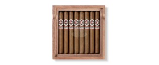 Avo Expressions Limited Edition 2024