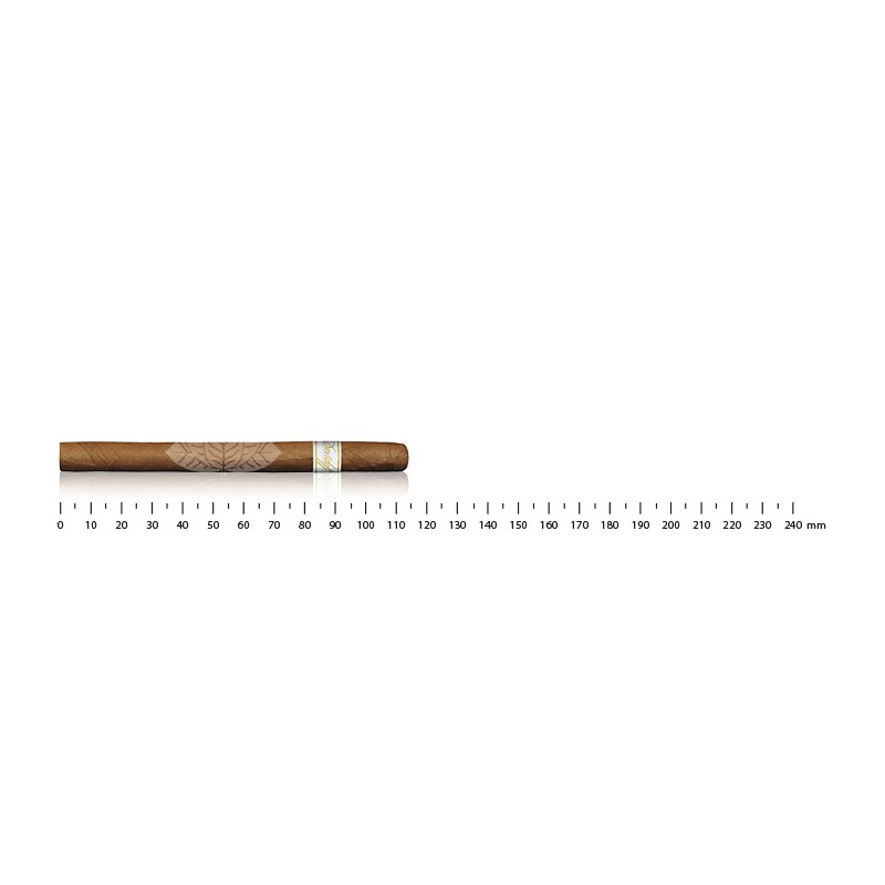 Davidoff Signature Ambassadrice