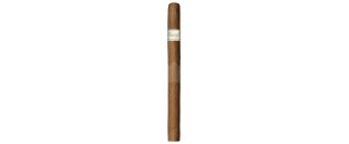 Davidoff Signature Ambassadrice