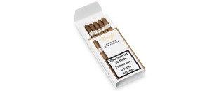 Davidoff Signature Ambassadrice