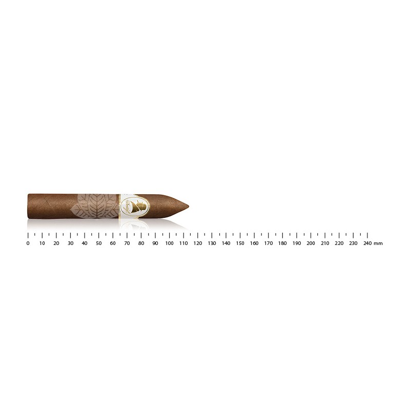 Davidoff Winston Churchill Belicosos