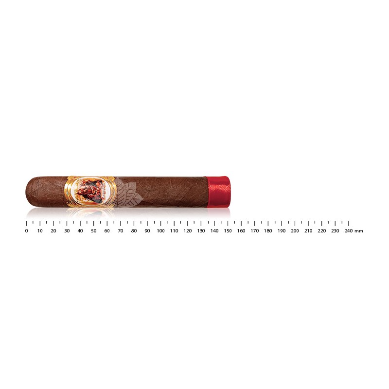 The Bouncer Habano XO