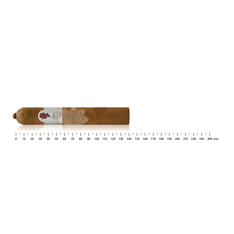 Gilbert de Montsalvat 15 Years Anniversary