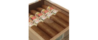 Hoyo de Monterrey Epicure No.3