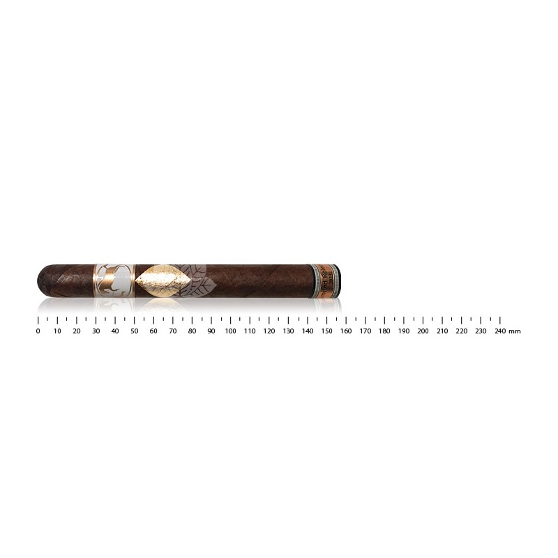 Cavalier Genève White series Limited Release 2023