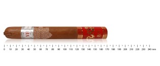 Vega Fina Year of the Dragon 2024