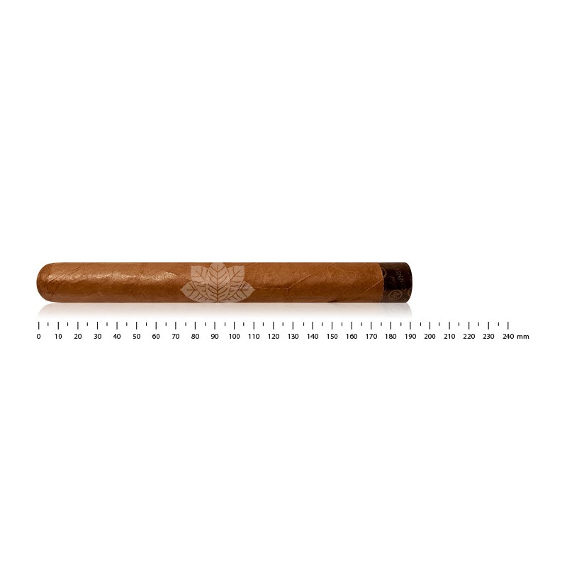 Rocky Patel Edge Connecticut Double Corona
