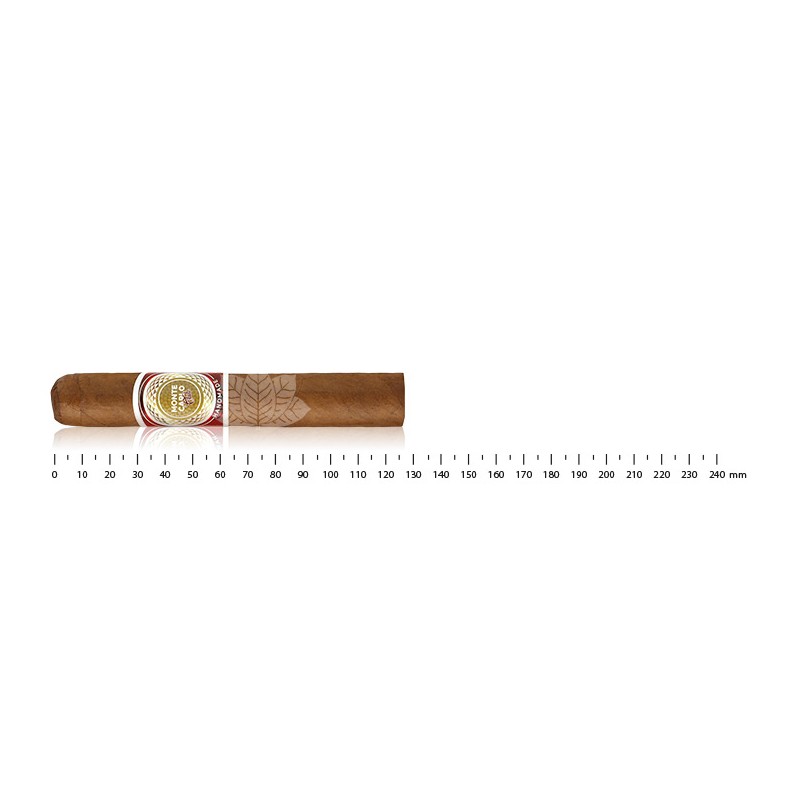Monte-Carlo Club Robusto