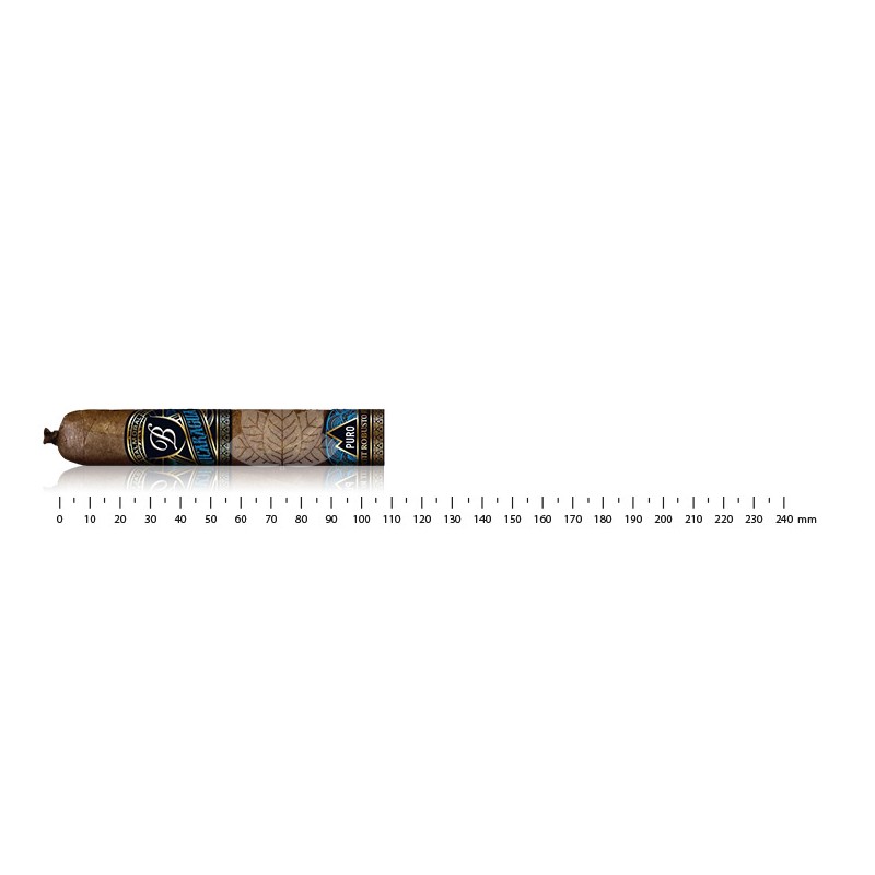 Balmoral Puro Nicaragua Petit Robusto
