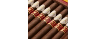 Davidoff Year of the Snake Limited Edition 2025