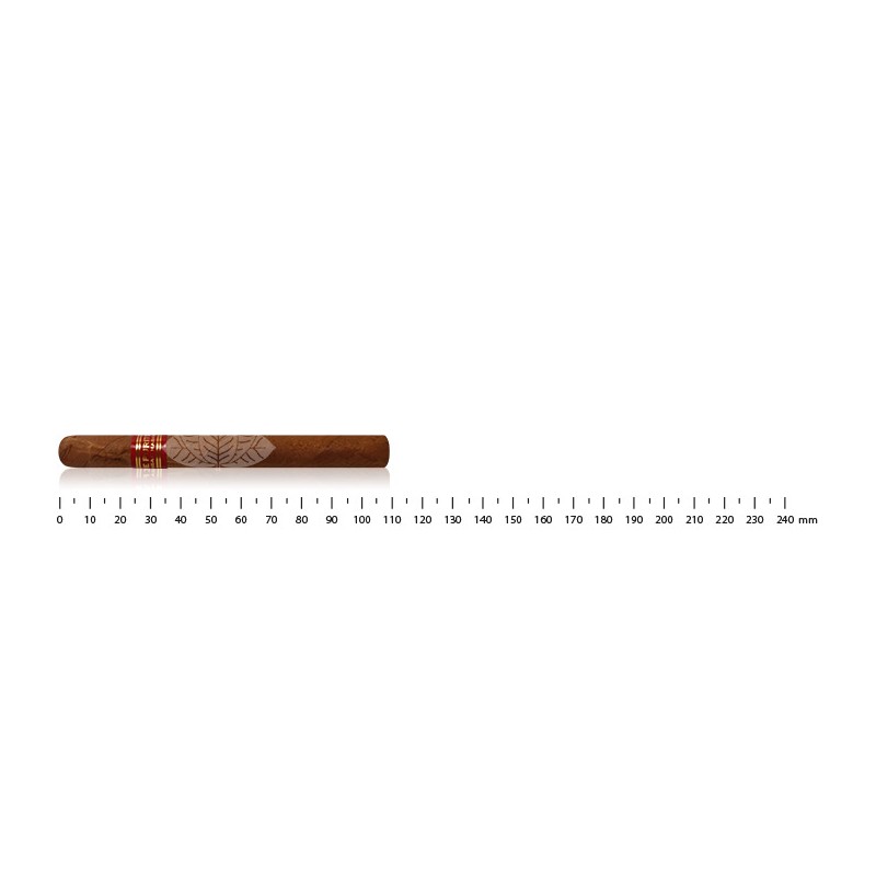 Partagas serie Puritos