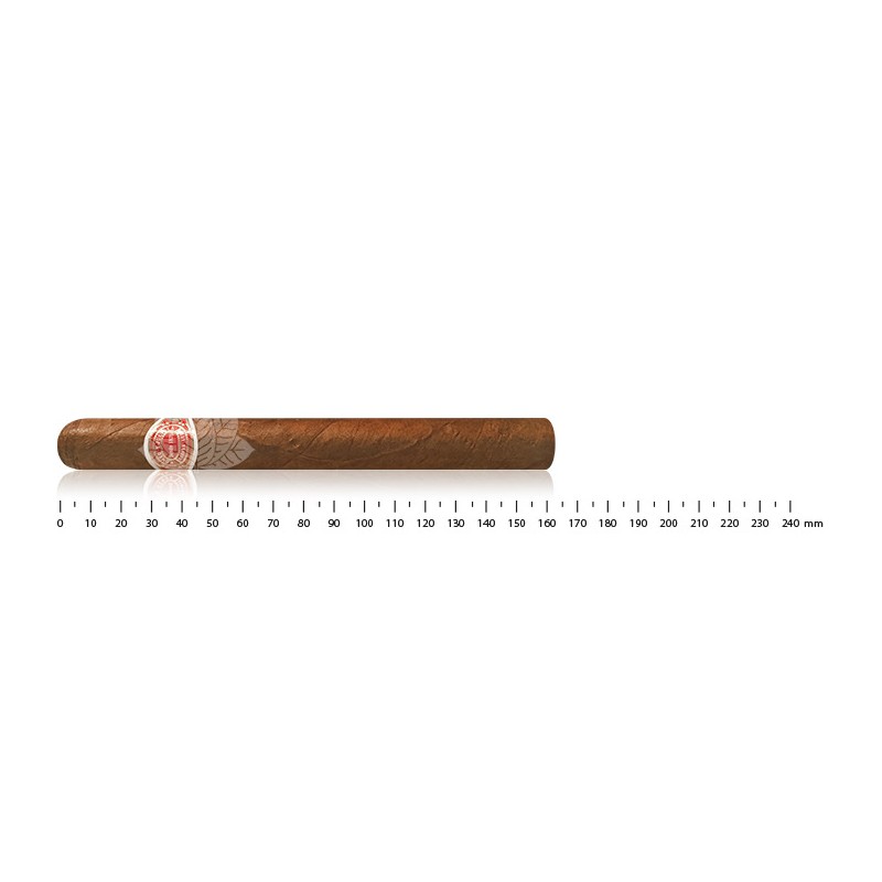 Romeo y Julieta Cazadores