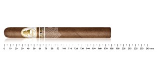 Davidoff Winston Churchill Limited Edition 2025