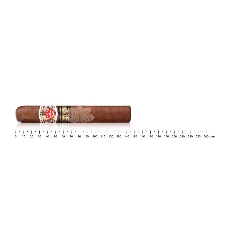 Hoyo de Monterrey Monterreyes No.4 - Limited edition 2021