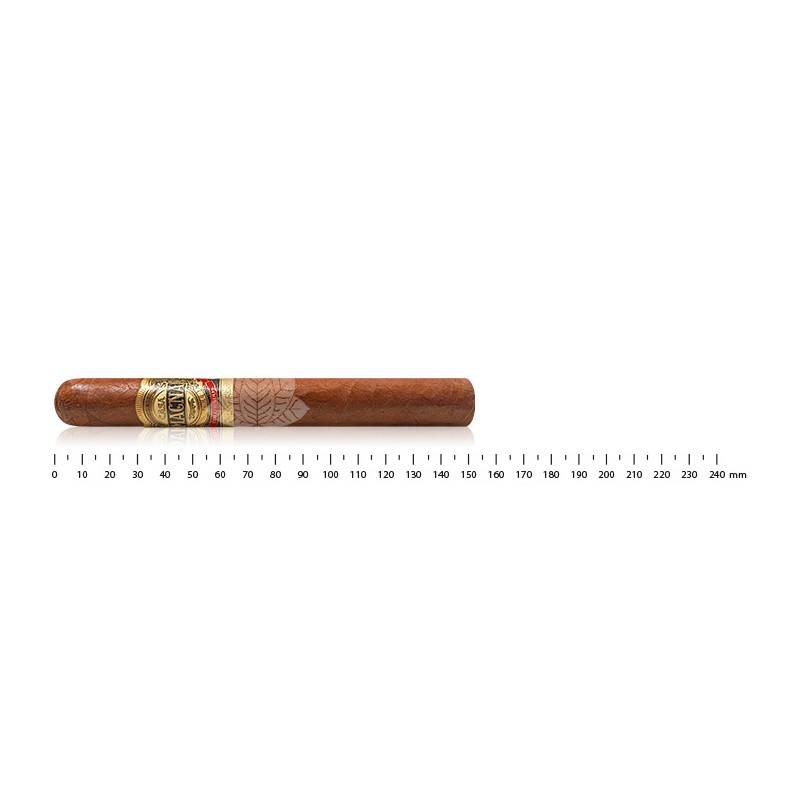 Casa Magna Colorado Corona