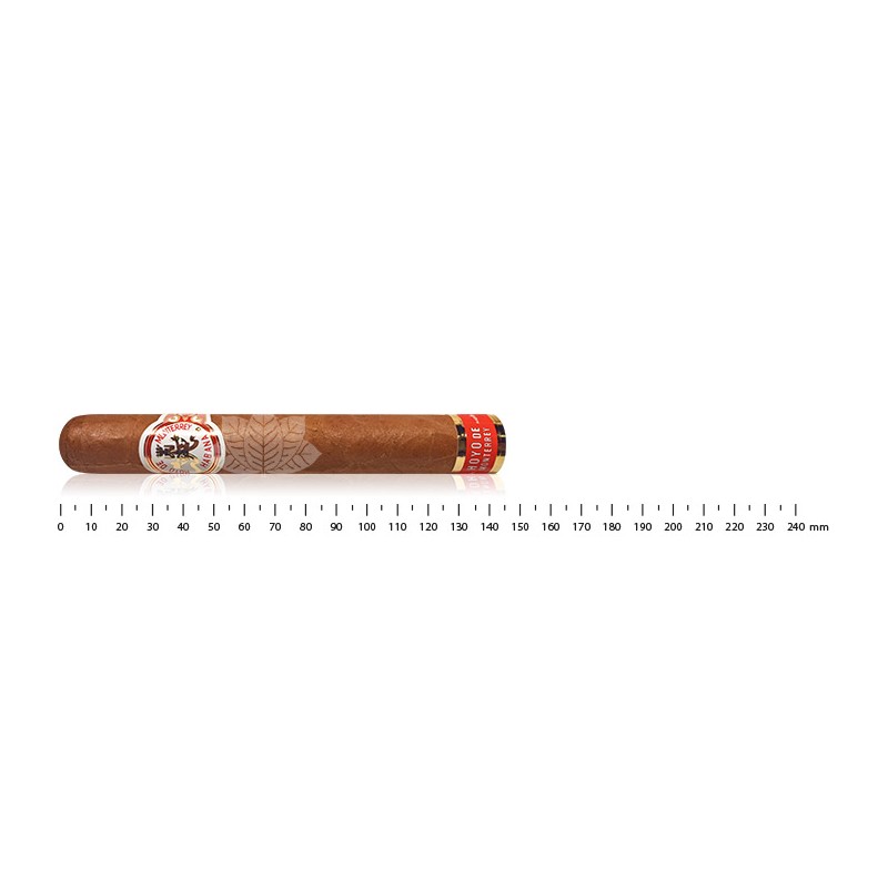 Hoyo de Monterrey Destinos - Travel humidor