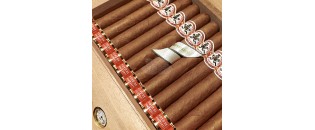 Hoyo de Monterrey Destinos - Travel humidor