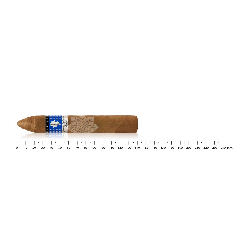 Gilbert de Montsalvat Belicoso