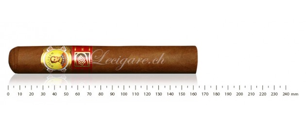 Bolivar Libertador (LCDH)
