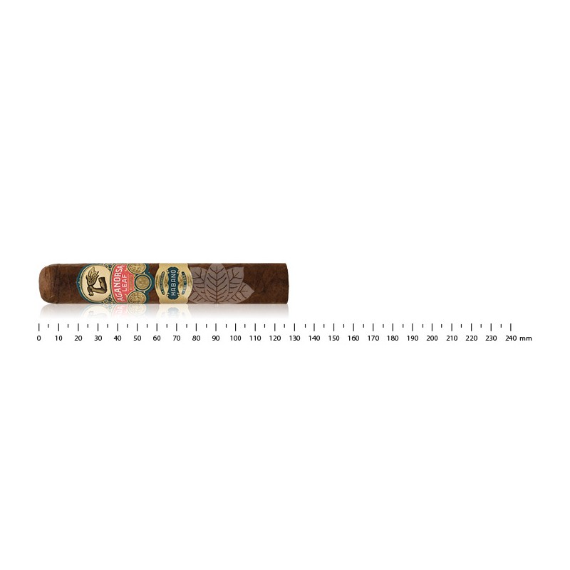 Aganorsa Leaf La Validación Habano Gran Robusto