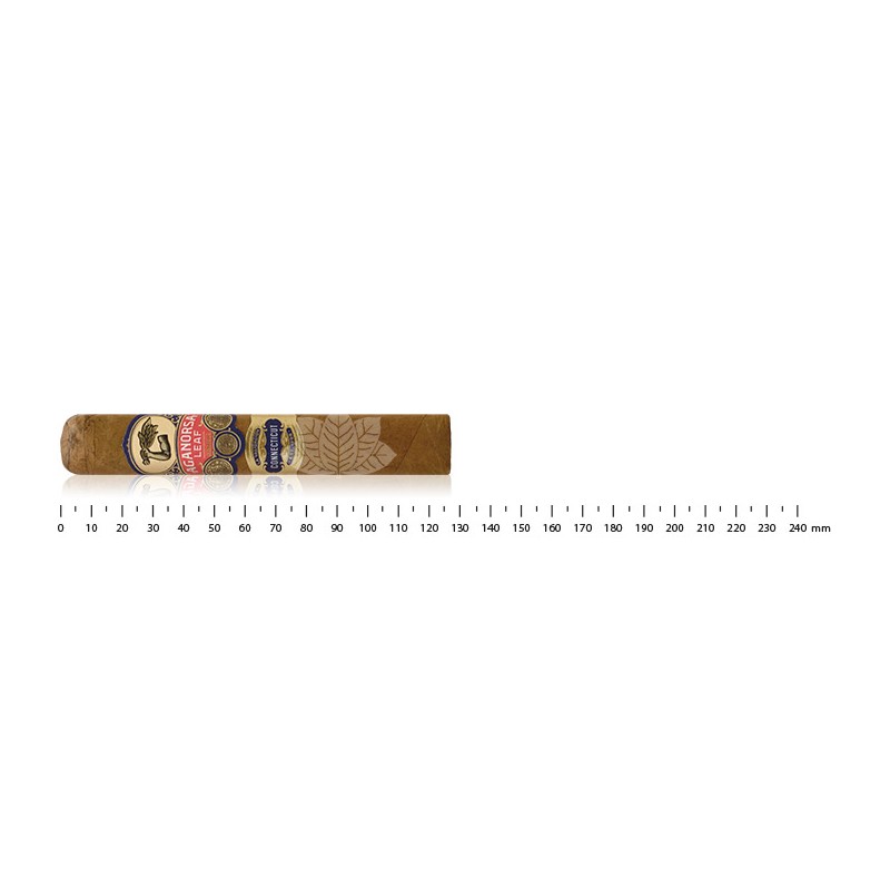 Aganorsa Leaf La Validación Connecticut Gran Robusto
