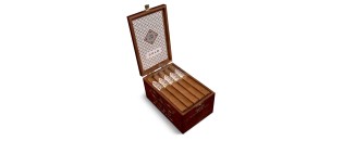 CAO Gold Robusto