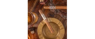 CAO Gold Robusto