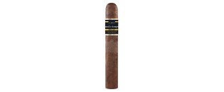 CAO Medio Tiempo Robusto