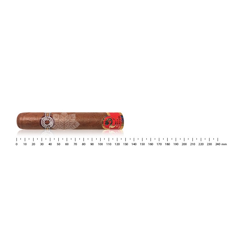 Montecristo Brillantes Year of the Dragon
