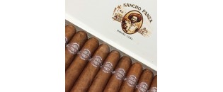 Sancho Panza Non Plus