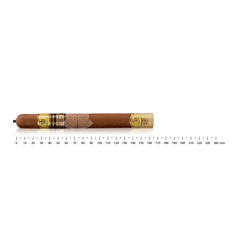 Trinidad Cabildos LTD 2024