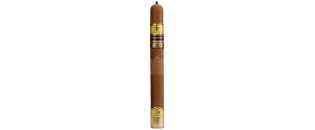 Trinidad Cabildos LTD 2024