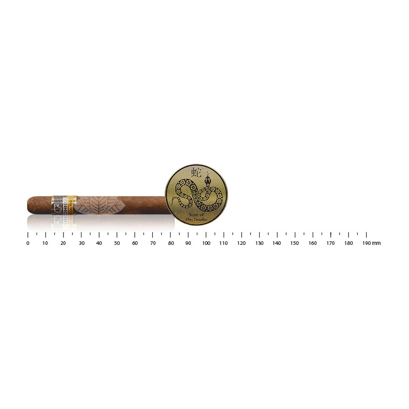 Cohiba Short Humidor Year of the Snake