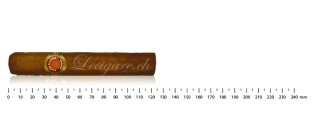 Ramon Allones Specially...