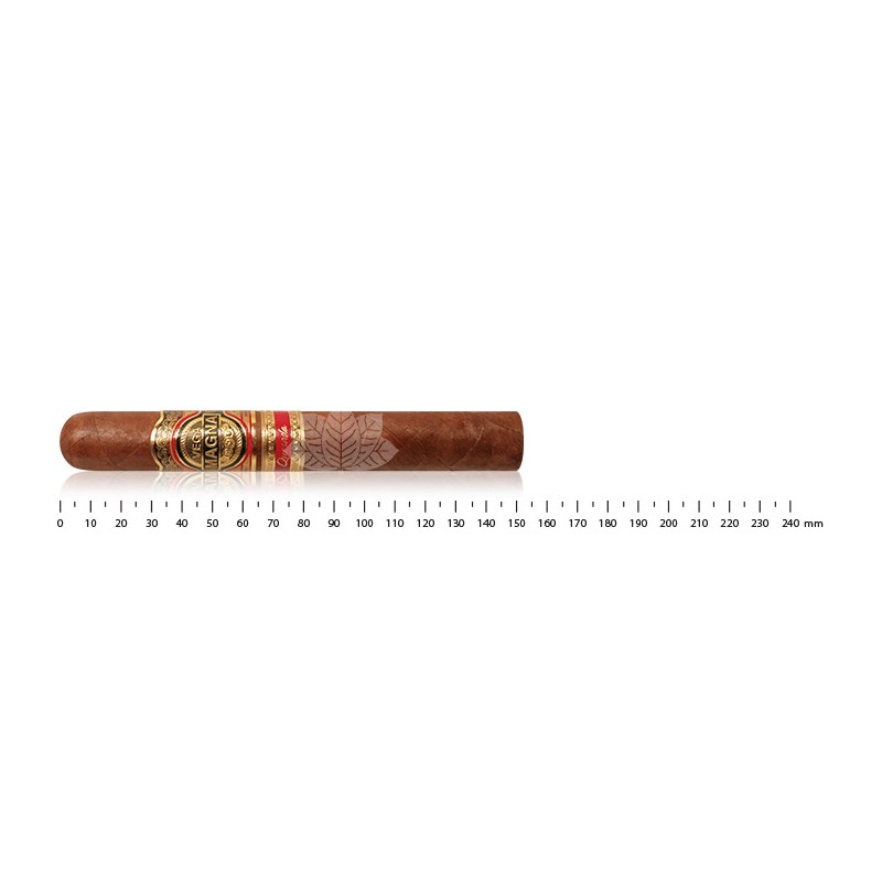 Quesada Vega Magna Toro
