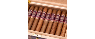 Château Diadem Splendor