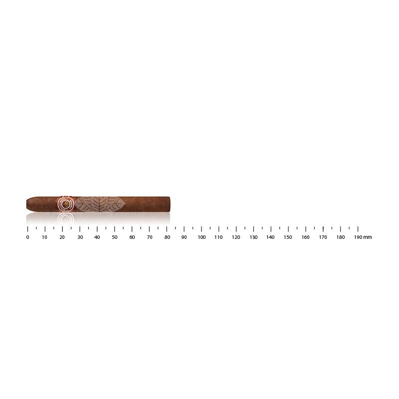 Montecristo Short Humidor Year of the Snake