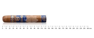Plasencia Alma del Cielo Celeste Robusto