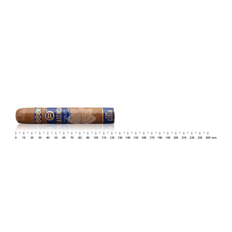 Plasencia Alma del Cielo Celeste Robusto