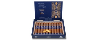 Plasencia Alma del Cielo Celeste Robusto
