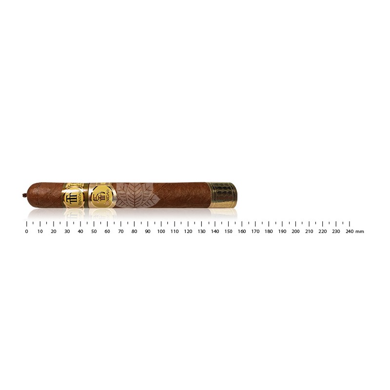 Trinidad Robusto Extra