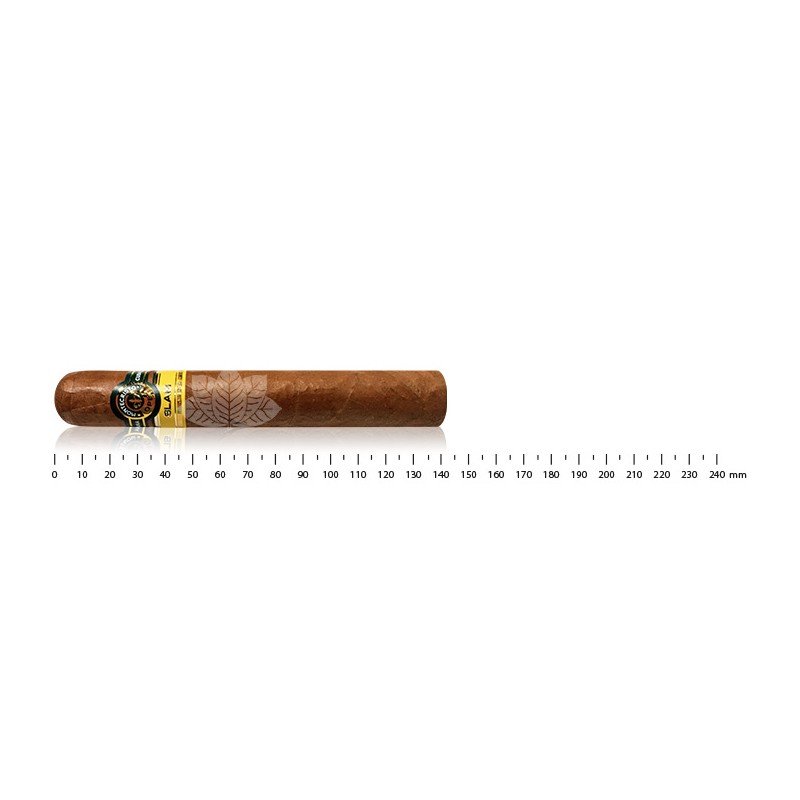 Montecristo Open Slam