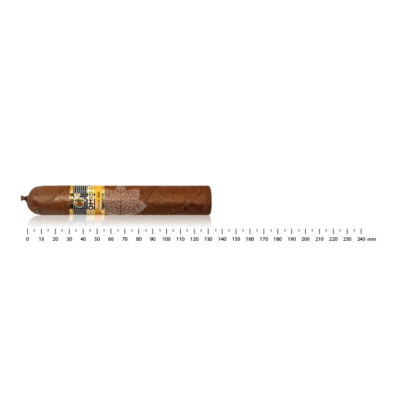 Cohiba Ambar