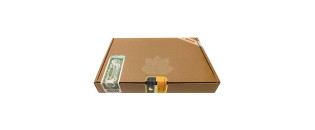 Cohiba Ambar