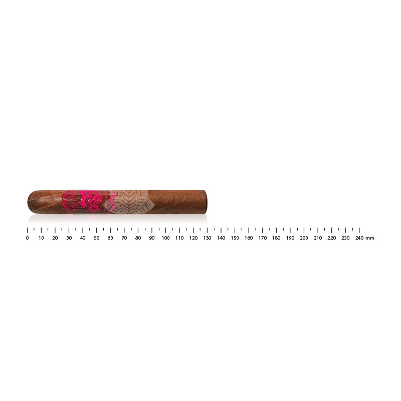 Bribon Petit Corona
