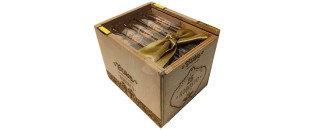 Bribon Robusto