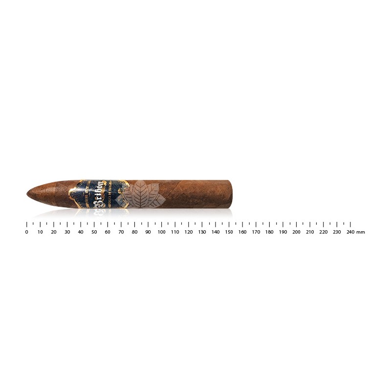 Bribon Torpedo
