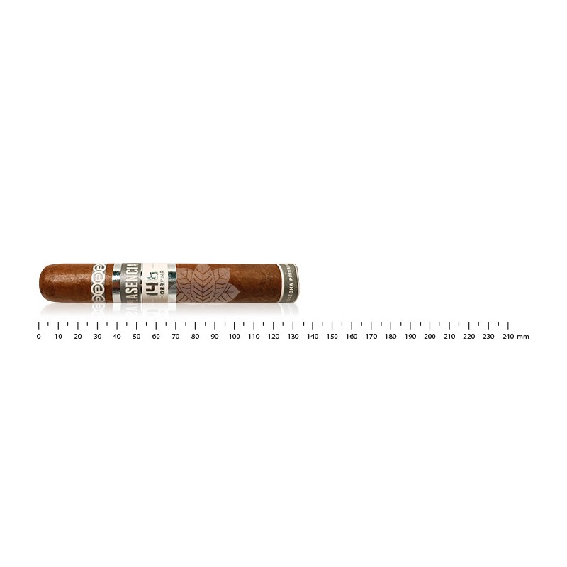 Plasencia Cosecha 146 La Vega Robusto Gordo