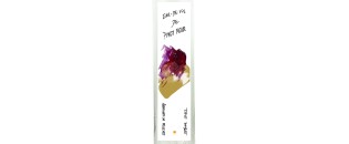 Schnaps Abricool - Grappa Pinot Noir