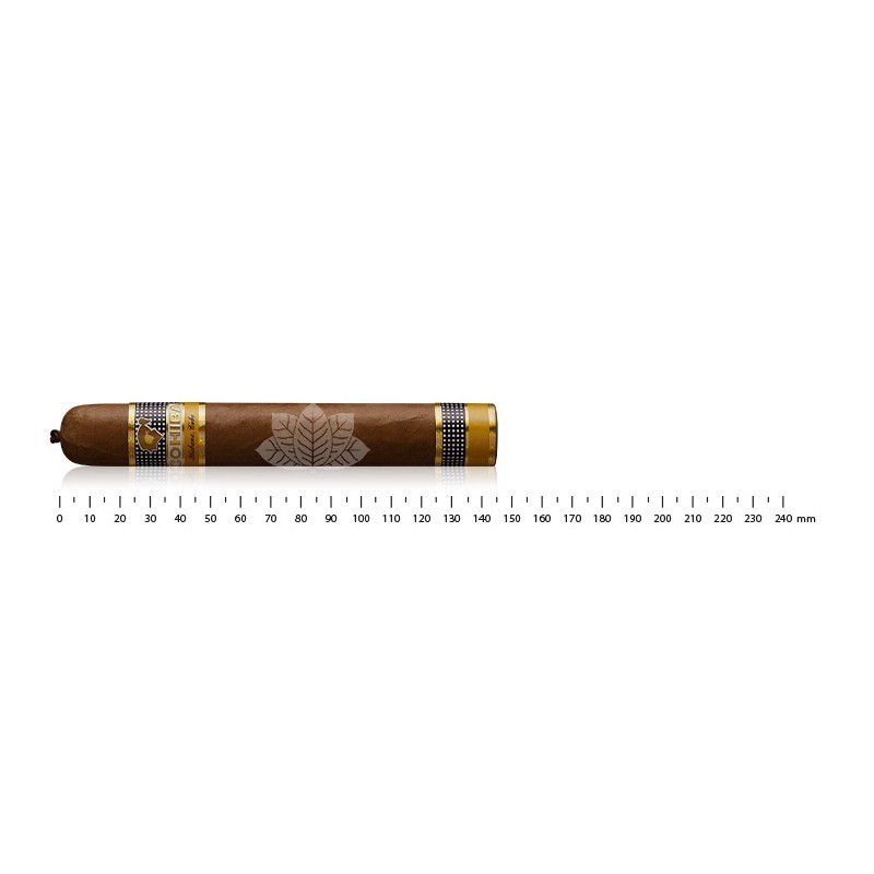 Cohiba Vistosos